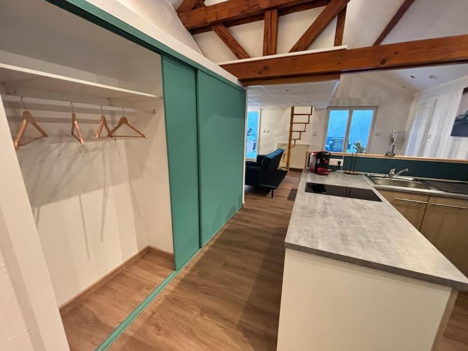 Mini-Loft, Terrasse 24M2, Internet Haut-Debit, Garage Prive Et Place De Parking Audincourt Exterior photo